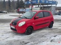 Używany Kia Picanto 2009 Hatchback
