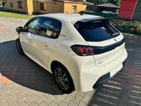 Obraz 3
