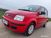 używany Fiat Panda II 1.2 8V 60KM - 47.000km - 2010 - z Niemiec