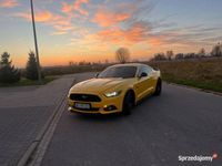 Używany Ford Mustang 2016