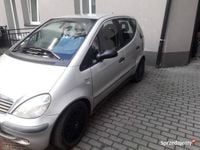 Obraz 3