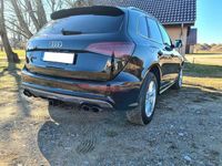 Obraz 3