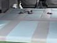 używany VW Multivan T4 generation 2.5 tdi klimatronik Navi komputer tempomat