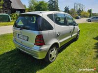 Obraz 3