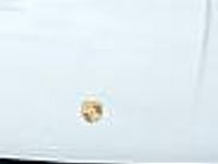 Używany Porsche Macan 350 KM (257 kW) 2017 Biały SUV