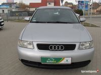 Obraz 1