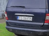 Obraz 3