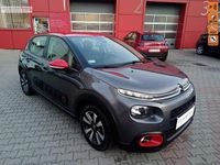 Obraz 1