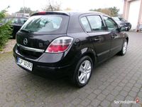 Obraz 3