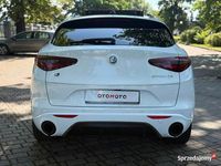 używany Alfa Romeo Stelvio Stelvio q4 full opcja zarejestrowany w Plq4 full opcja zarejestrowany w Pl