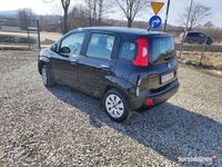 Obraz 2