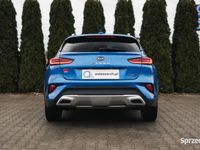 używany Kia XCeed 1.5 T-GDI M DCT, Bezwypadkowy, I Właściciel