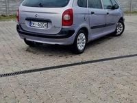 Obraz 3