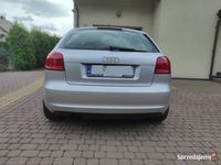 używany Audi A3 II (8P) lift TDI 2.0 170KM Alkantara, Bi-Xenon, Navi