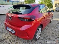 Obraz 3