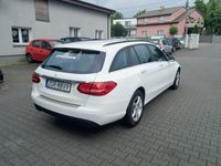 Obraz 3