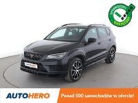 Obraz 1