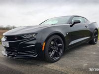 używany Chevrolet Camaro 