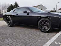 używany Dodge Challenger 