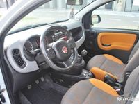 używany Fiat Panda 4x4 1.3 Diesel 75KM Klima Grzana Prednia Szyba Blokada ELD