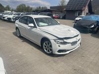 Obraz 3
