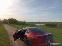 używany Ford Mustang GT 