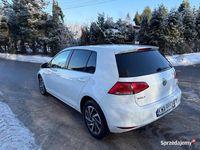 używany VW Golf VII 1.6 TDI//DSG