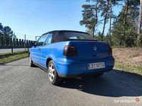 Obraz 1