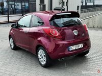 Obraz 1