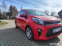 używany Kia Picanto 