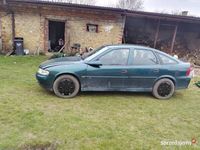 Obraz 3