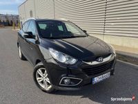 Obraz 3