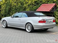 Obraz 3