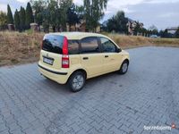 używany Fiat Panda 