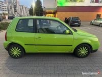 Obraz 3