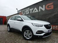 używany Opel Grandland X 1.5dm 130KM 2020r. 39 300km