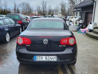 Obraz 3