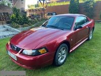 Używany Ford Mustang 190 KM (139 kW) 2003 Bordowy Coupe