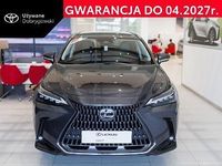 Obraz 1