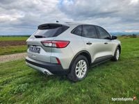 Używany Ford Kuga 2020 SUV