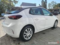 Używany Opel Corsa Edition 102 KM (75 kW) 2021 Biały Hatchback