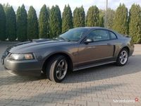 używany Ford Mustang GT 4.6 v8. Super stan