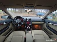 Używany Audi A3 2005 Hatchback