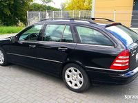 Obraz 2