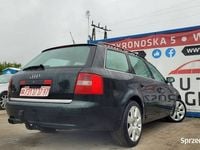 Obraz 3