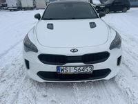 używany Kia Stinger Premium wyposażenie