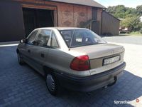 Obraz 3