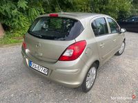 Obraz 3