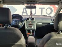 używany Audi A3 8P 2.0 TDI / Klimatyzacja / Alufelgi / Grzane fotele//Długie Opłaty