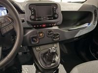 używany Fiat Panda MY25 Pandina Icon 1.0 70 KM